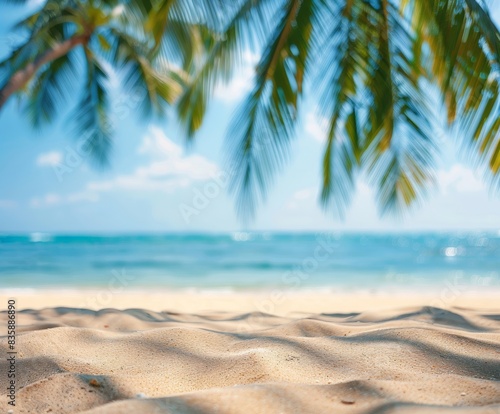 Palm Tree Shade Over Beach Sand On Summer Day