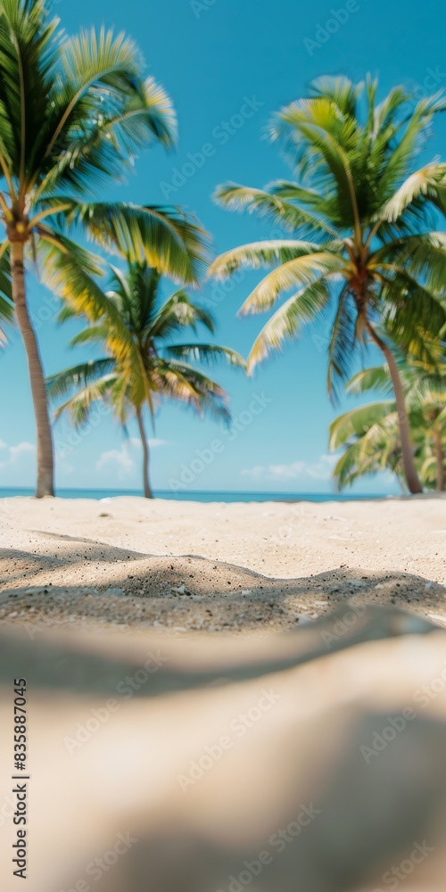 Obraz premium Soft Focus Beach View With Palm Trees on Sunny Summer Day