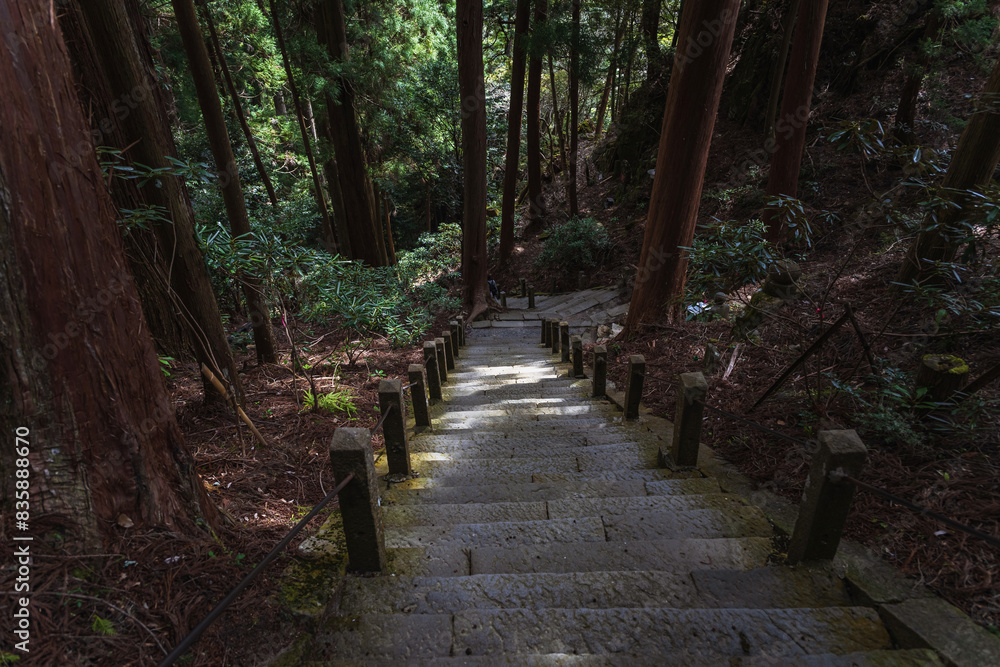 奈良室生寺 奥の院 木立の中の参道風景