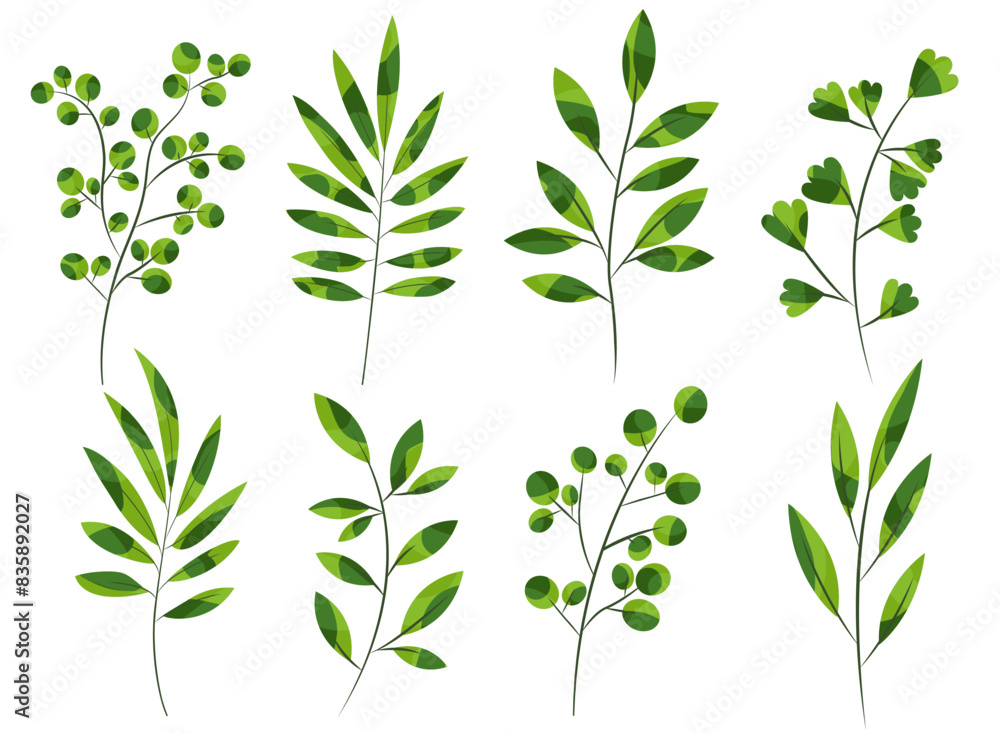 Obraz premium Green branches with leaves vector illustration set