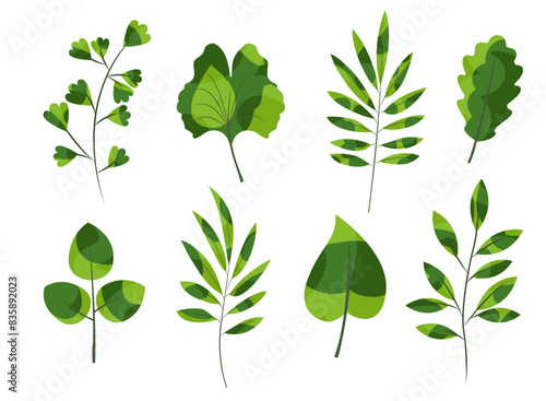 Green cute branches  leaves vector illustration set