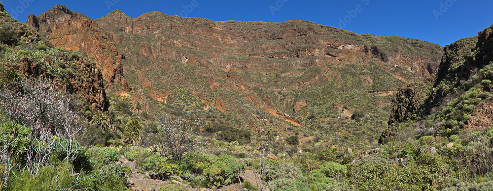 Landscape in Barranco de Guayadeque on Gran Canaria,Canary Islands,Spain,Europe
Landscape in Barranco de Guayadeque on Gran Canaria,Canary Islands,Spain,Europe