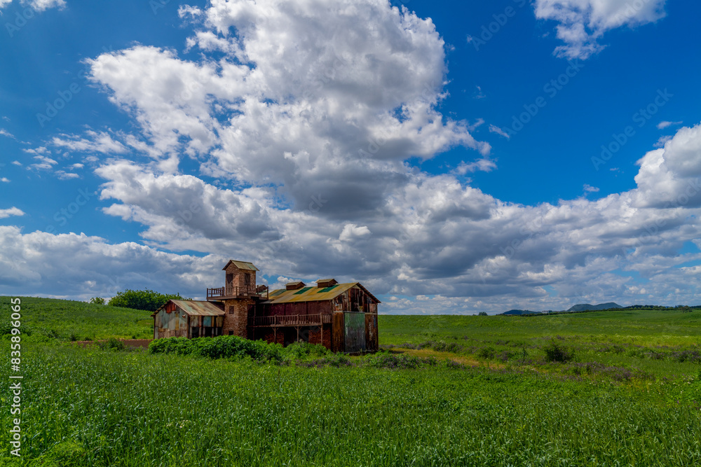 Fototapeta premium 목장풍경