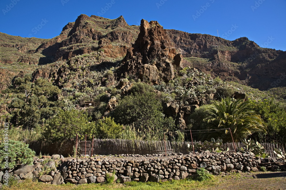 Landscape in Barranco de Guayadeque on Gran Canaria,Canary Islands,Spain,Europe
Landscape in Barranco de Guayadeque on Gran Canaria,Canary Islands,Spain,Europe