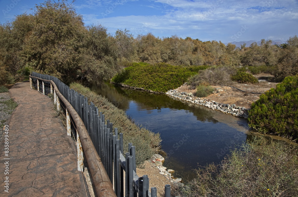 Naklejka premium Landscape in Parque Tony Gallardo at Maspalomas on Gran Canaria,Canary Islands,Spain,Europe 