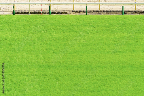 Foto 札幌競馬場　芝コース