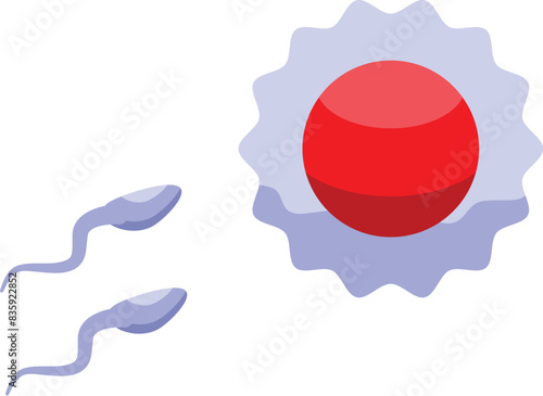 Vector graphic of sperm approaching a red human ovum, illustrating the concept of fertilization