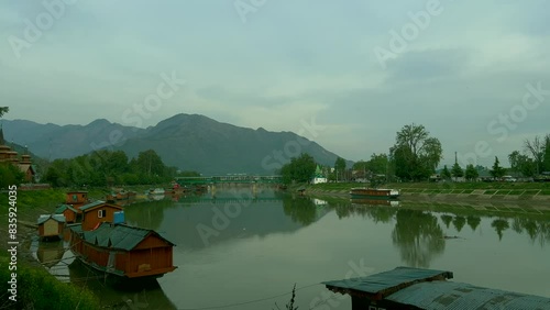 Tulip garden nishat srinagar kashmir india, beautiful colorful flowers, tuliping in april month Clip 99 photo