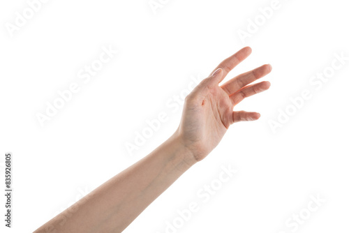 Female hand reaching something isolated on white