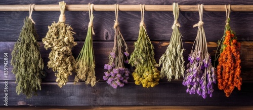Herbs dried in bunches On a wooden wall. Creative banner. Copyspace image photo