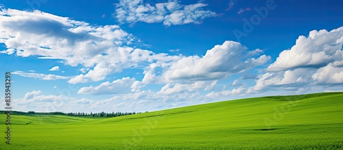Blue sky with white clouds and green field. Creative banner. Copyspace image