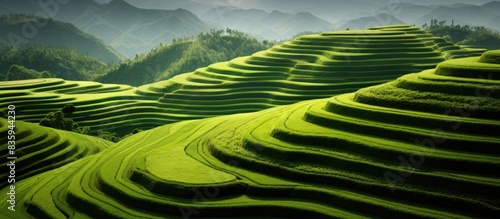 abstract curves of terrace fields on mountains. Creative banner. Copyspace image