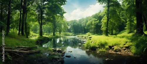 View on a green forest at summer. Creative banner. Copyspace image