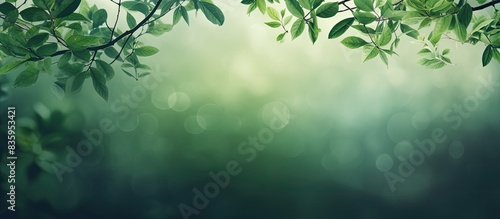 branches with green leaves beautiful green background. Creative banner. Copyspace image