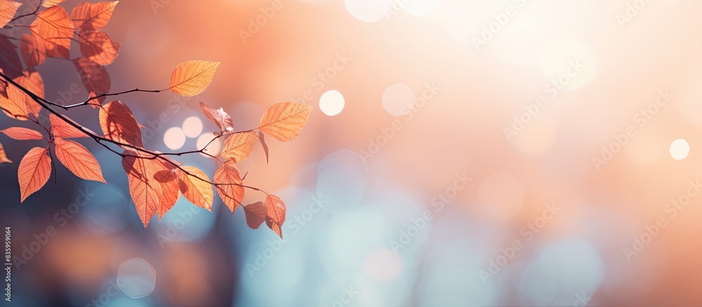 Leaves Bokeh. Creative banner. Copyspace image Leaves Bokeh. Creative banner. Copyspace image