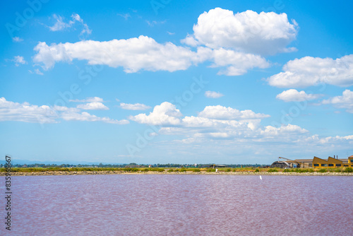 Obraz na płótnie Cervia Salt Pans, Emilia Romagna, Italy w salonie