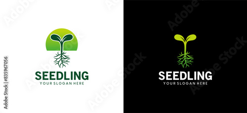 Green seedling logo design, icon symbol of a small plant with roots growing naturally