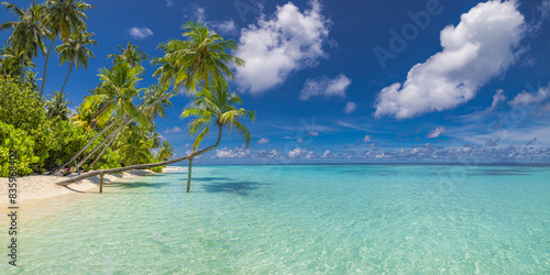 Perfect island beach coast. Tropical travel landscape of summer paradise. White sand palm trees sunny blue sea sky. Luxury vacation destination. Exotic amazing tourism relax. Freedom Maldives nature