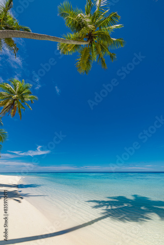 Perfect island beach coast. Tropical travel landscape of summer paradise. White sand palm trees sunny blue sea sky. Luxury vacation destination. Exotic amazing tourism relax. Freedom Maldives nature