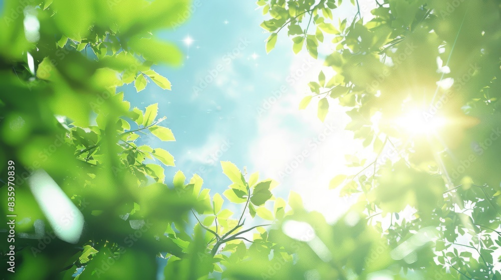 Obraz premium Fresh spring or summer sky background with sunlight filtering through trees. Lush green leaves bathed in warm sunlight.