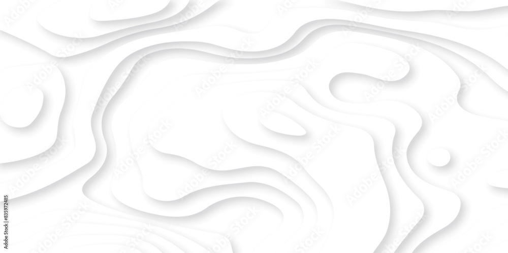 Abstract white paper cut background with lines. Background of the topographic map. White wave paper curved reliefs abstract background. Realistic papercut decoration textured with wavy layers. Abstract white paper cut background with lines. Background of the topographic map. White wave paper curved reliefs abstract background. Realistic papercut decoration textured with wavy layers.