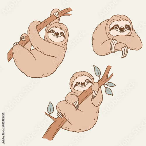 set of sloth characters, vector cartoon