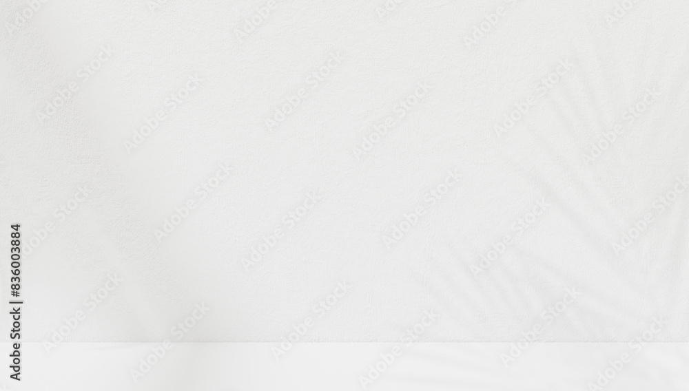 Palm Leaves Shadow on white wall. Free space for decoration product presentation mock up Palm Leaves Shadow on white wall. Free space for decoration product presentation mock up