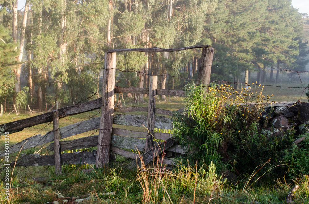 old wooden fence in the farm old wooden fence in the farm