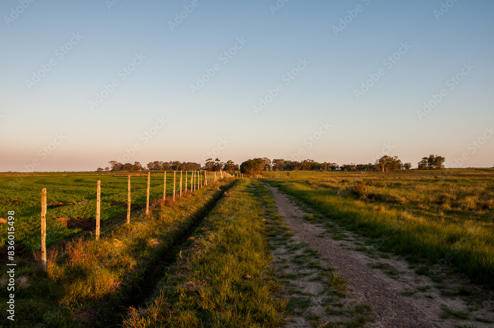 Obraz premium Dirt road in the countryside at dusk