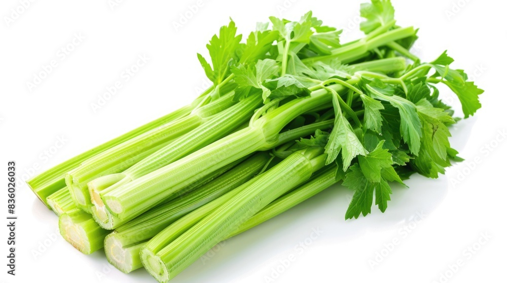 A detailed high-resolution photo of fresh celery stalks, isolated on a white background with clipping path A detailed high-resolution photo of fresh celery stalks, isolated on a white background with clipping path