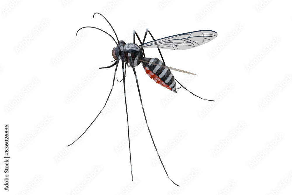 3D rendering of a clear background showing the back view of a stylized Aedes mosquito, preferably the Aedes aegypti type. 3D rendering of a clear background showing the back view of a stylized Aedes mosquito, preferably the Aedes aegypti type.