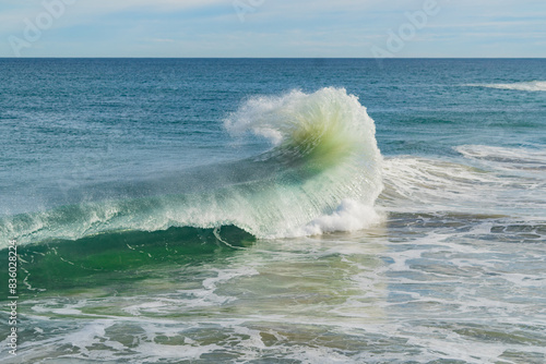 Canvas-taulu Scorpion Wave