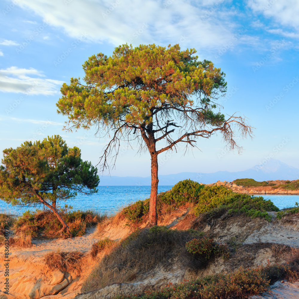 Obraz premium Aegean sea coast landscape, sunset view from Karidi beach (Chalkidiki, Greece).