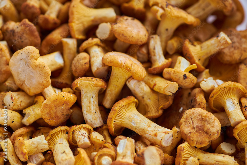 Chanterelles, Mushrooms, Food image chanterelle Chanterelles, Mushrooms, Food image chanterelle