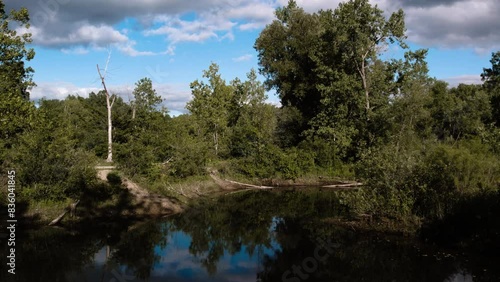 Peaceful Woodland Scene Featuring a Calm Waterway and Lush Trees