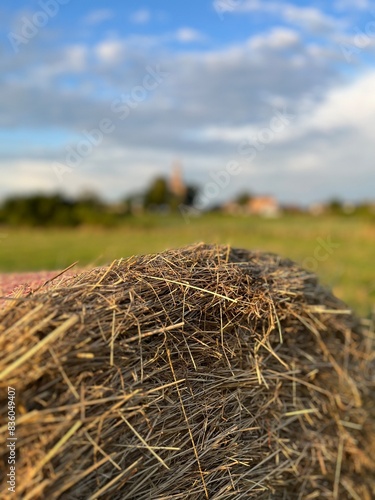 Magdeburger Landschaft