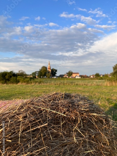 Magdeburger Landschaft
