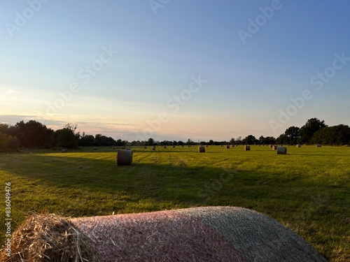 Magdeburger Landschaft