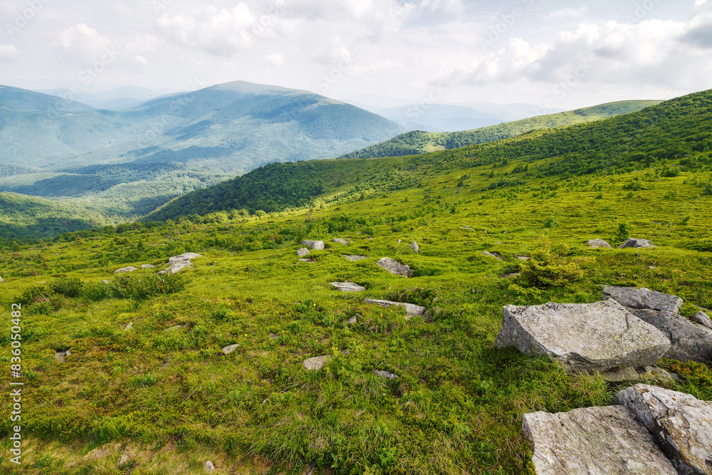 beautiful scenery of mountainous countryside in summer. view in to the distant valley. outdoor adventures in carpathian mountains of ukraine on a cloudy day
