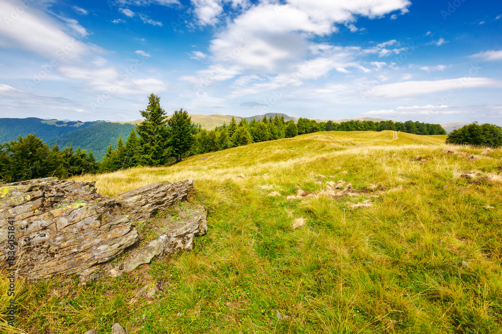 stones and coniferous forest on the grassy alpine meadow of carpathian mountain landscape in summer. svydovets ridge of ukraine in the distance under dynamic cloudscape on a blue sky in evening light stones and coniferous forest on the grassy alpine meadow of carpathian mountain landscape in summer. svydovets ridge of ukraine in the distance under dynamic cloudscape on a blue sky in evening light