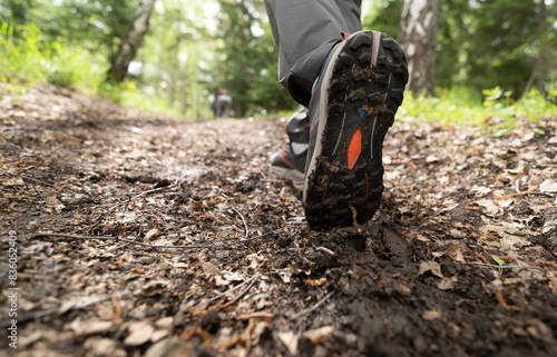 Foot steps in the forest in summer 