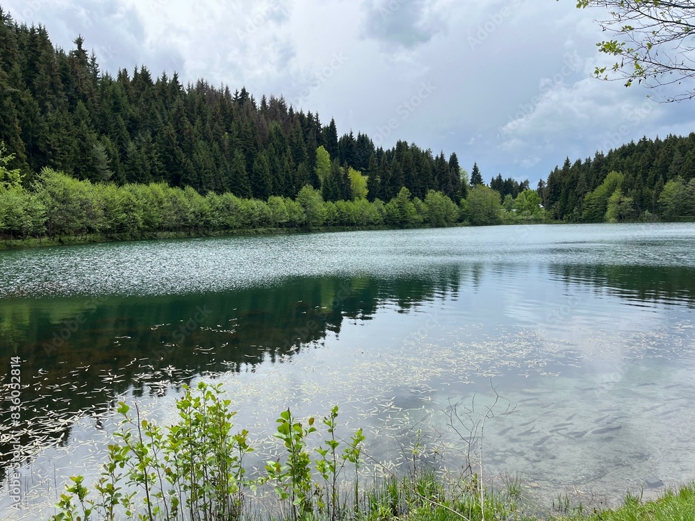 Fototapeta premium #landscape#nature#view#turkey#kahramanmaras#karagol#artvin