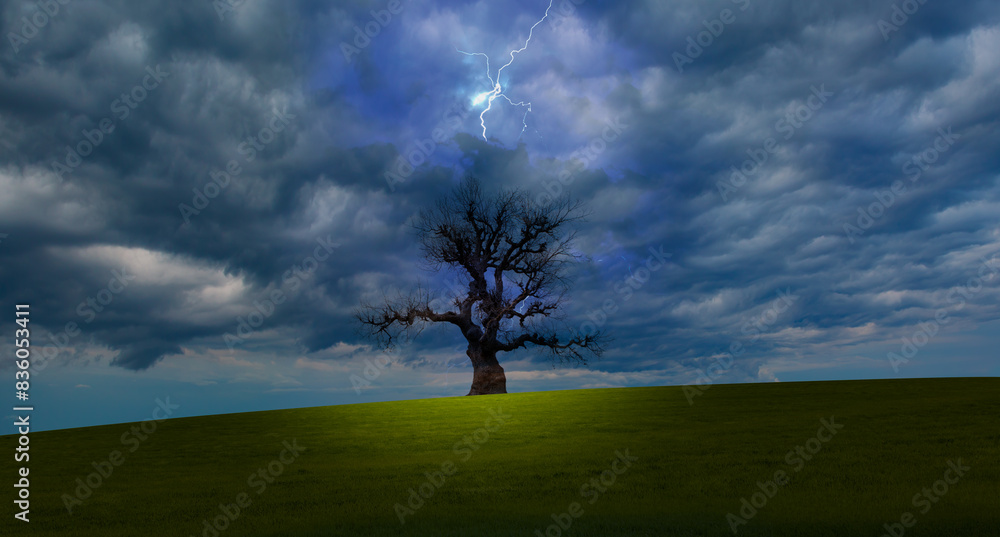 Obraz premium Lightning strike beetwen dark clouds over dead tree with green grass field - Stormy sky with thunderbolt over rural landscape