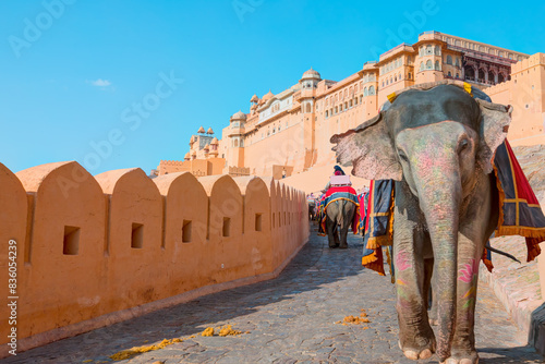 Amer Fort Jaipur - Tourists enjoy elephant ride at sunrise - Indian man (mahout) riding on elephant near Amber Fort, Jaipur, India
