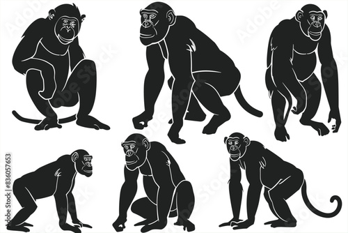 Set of Bornean Orangutan animal black silhouettes vector on white background. Silhouette of a monkey standing. Ape and Monkey Silhouettes. 