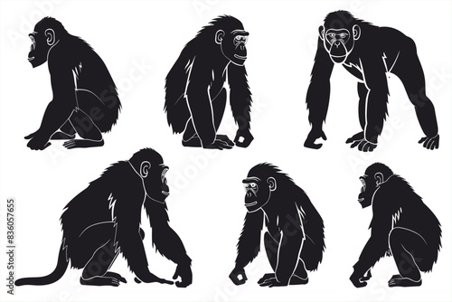 Set of Bornean Orangutan animal black silhouettes vector on white background. Silhouette of a monkey standing. Ape and Monkey Silhouettes. 
