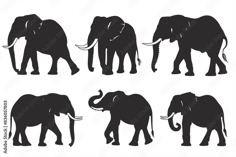 Naklejka premium Elephant silhouette vector art white background. Elephant vector silhouette set isolated on white background. A set of elephant animal silhouettes in various poses. 