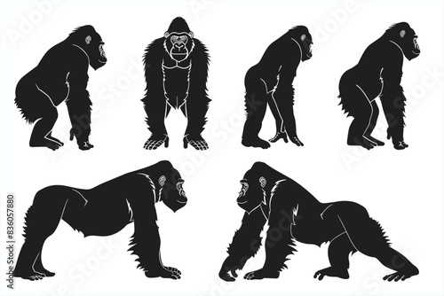 Set of vector black silhouette of Gorilla standing isolate white background. Set gorilla logo. Set gorilla logo. Chimpanzee black silhouette icon isolated. Vector illustration.