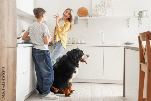 Little boy and his mother with Bernese mountain dog in kitchen photo