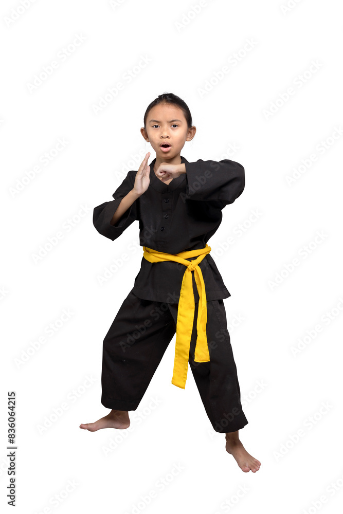 Asian little girl with a yellow sash training martial arts Asian little girl with a yellow sash training martial arts